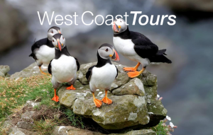 staffa island tours from tobermory